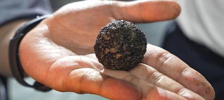 Seltene Mineralien vom Meeresgrund: Warum Trump die internationale Tiefsee erobern will