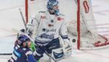 deutsche eishockey liga: straubing tigers verlängern vertrag mit goalie bugl
