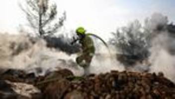 waldbrände in israel: israelische polizei nimmt mann wegen versuchter brandstiftung fest