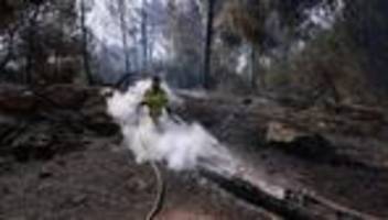 israel: waldbrände bei jerusalem laut feuerwehr unter kontrolle