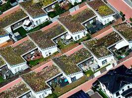 Natürliche Klimaanlage: Dachbegrünung: Planung, Bepflanzung und Kosten im Überblick