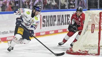 personal: die eisbären treffen erste entscheidungen