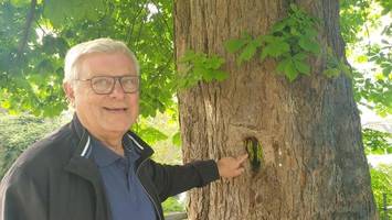 die „bibel der baumpflege“ stammt aus bergedorf