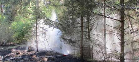 2500 quadratmeter stadtwald in flammen: feuerwehr rückt zu einsatz aus