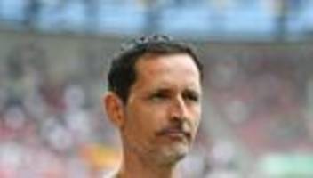 fußball-bundesliga: tierklinik statt europa league: schreckmoment für toppmöller
