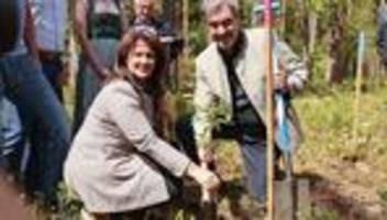 klimawandel: söder zieht positive zwischenbilanz bei waldumbau