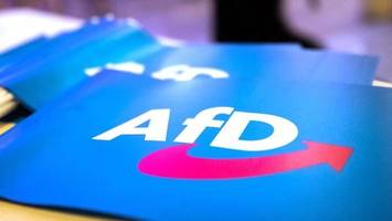 Rechtsruck mit Ansage? Der Weg der AfD ins Extreme