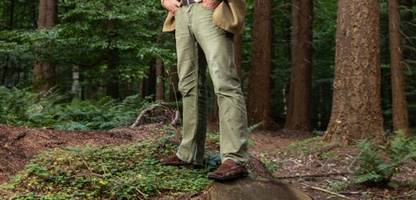 bismarck: familiensprecher schweigt über steuerparadies sachsenwald