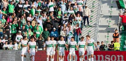 Spanischer Fußballklub FC Elche verbietet Sonnenblumenkerne im Stadion
