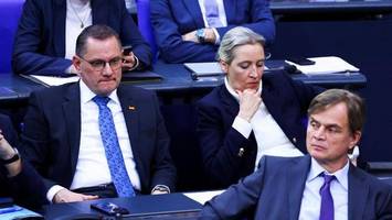 Gesichert rechtsextremistisch: Das sind die Folgen für die AfD