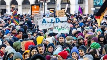„Rechtsextrem“: Wie Hamburg jetzt über Verbot der AfD streitet