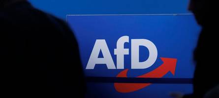 Debatte um AfD-Verbot: Lasst die Richter ihre Arbeit machen!