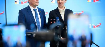 Verfassungsschutz stuft AfD als „rechtsextremistisch“ ein