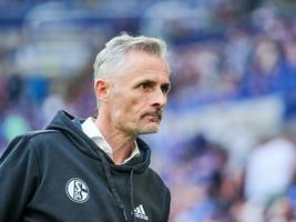 Schalke-Trainer freigestellt: Van Wonderens unehrenhafter Abschied