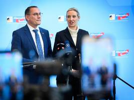 Verfassungsschutz: Das Gutachten zur AfD darf keine Geheimsache bleiben