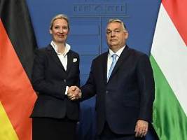 Empörung nach AfD-Einstufung: Orban: Was zum Teufel ist in Deutschland los?