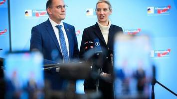 AfD und Beamte: Warum der Staat jetzt genau hingucken muss