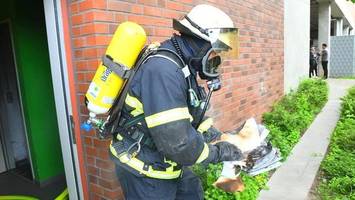 Ironie pur: Anleitung der Brandmeldeanlage fängt bei Edeka Feuer