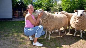 Kuscheln und Genießen: Dieser Hof ist das Bullerbü in der Heide