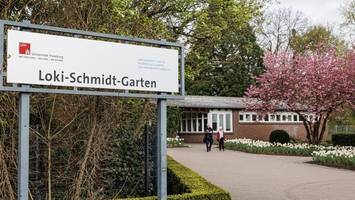 premiere im botanischen garten: erstes sommerfestival geplant