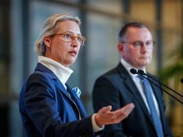 Klage gegen Verfassungsschutz: Die AfD versucht, vor Gericht Zeit zu gewinnen
