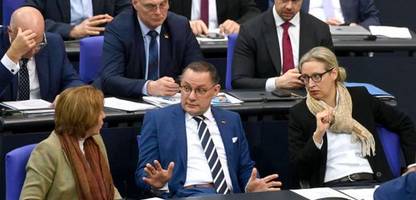 afd-verbot: rot-rot-grüne koalition in bremen will verfahren einleiten
