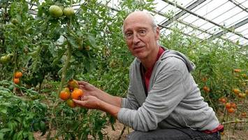 Dokumentarfilm über Reitbrooker Verein, der Tomaten rettet