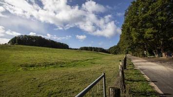 pfefferspray-angriff: geplanter autokauf endet schmerzhaft