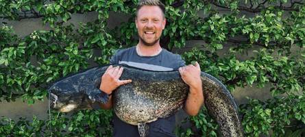 Guter Fang: Burgheimer fischt fast zwei Meter langen Wels aus dem Weiher