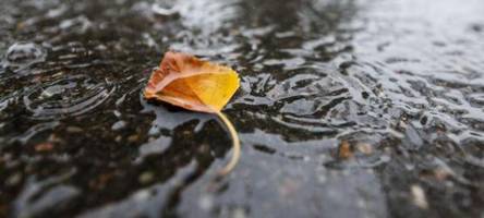 Schnee, Dauerregen und Frost in Bayern: Ungemütliche Lage in mehreren Landkreisen