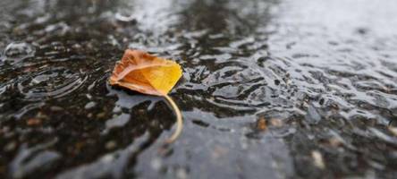 Unwetterwarnung in Bayern: Diese Landkreise sind betroffen