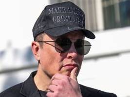 drei meter höher als erlaubt: elon musks maschendrahtzaun erzürnt die nachbarn