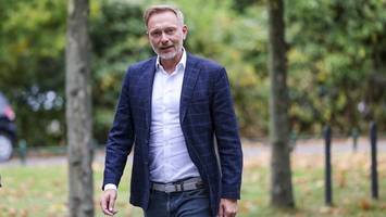 lindner überfährt hund – hat er schuld? das sagen juristen