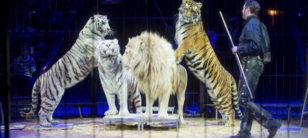 Kritik an Circus-Krone-Show: Gibt es wieder Proteste von Tierschützern?