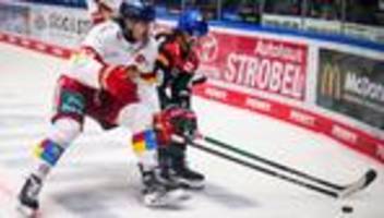 deutsche eishockey liga: augsburger panther künftig ohne stürmer volek