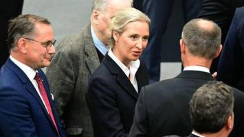 Merz-Chaos: Drei Gründe, warum vor allem die AfD profitiert