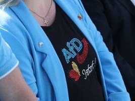AfD in Brandenburg: Offiziell rechtsextrem, aber auf Umwegen