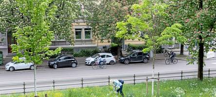 Baum-Boom in Augsburg: Es wurden 444 mehr Bäume gepflanzt als gefällt