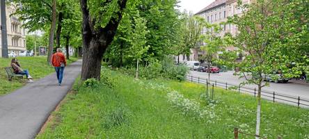 Positive Baumbilanz in Augsburg ist beachtlich, aber nicht nur eigenem Tun zu verdanken