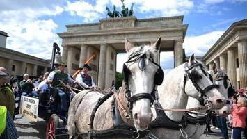 tag der befreiung in berlin: sperrungen, kränze, friedenspferde