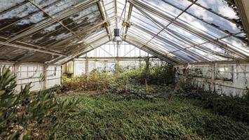 Neues Café im Jenischpark: Betreibersuche endet erfolgreich