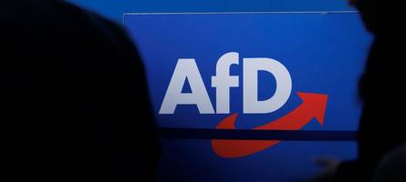 Verfassungsschutz setzt AfD-Einstufung vorerst aus