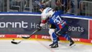 deutsche eishockey liga: straubing tigers holen verteidiger leslie aus mannheim