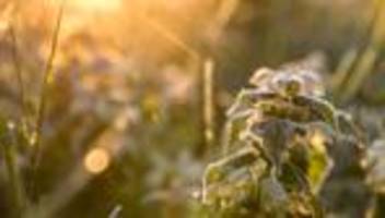 Wetter: Tagsüber bis zu 20 Grad, nachts vereinzelt Frost