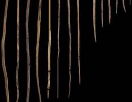 Archäologie: Stammen die ältesten Speere der Welt von Neandertalern?