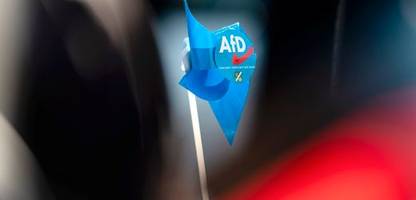 Wie die Medien jetzt mit der AfD umgehen sollten - Meinung
