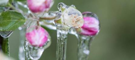 DWD warnt für Samstag vor Frost in Bayern: Diese Landkreise sind betroffen
