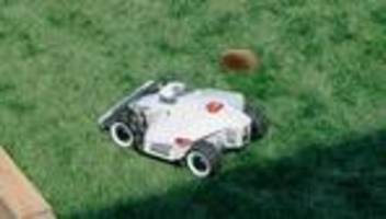 mähroboter im test: sicher, dass ihr rasenmäher keine igel zerhäckselt?