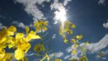 wettervorhersage: viel sonne und bis zu 25 grad an muttertag