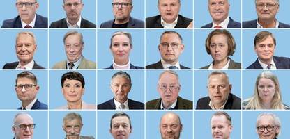 AfD bei Miosga, Maischberger und Lanz: Die AfD wird bleiben – auch in den Talkshows